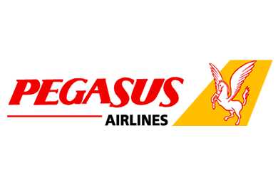 Pegasus